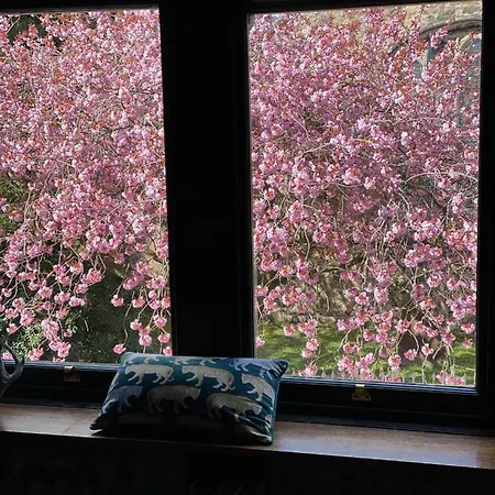 Apartment Wuthering Heights *