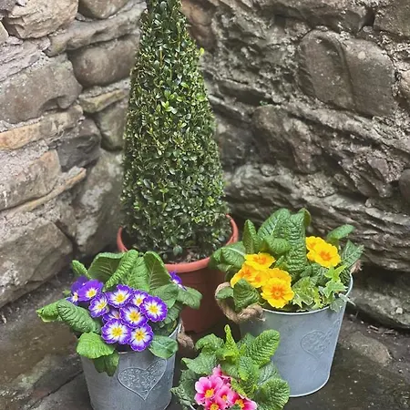 Wuthering Heights Apartment Sedbergh